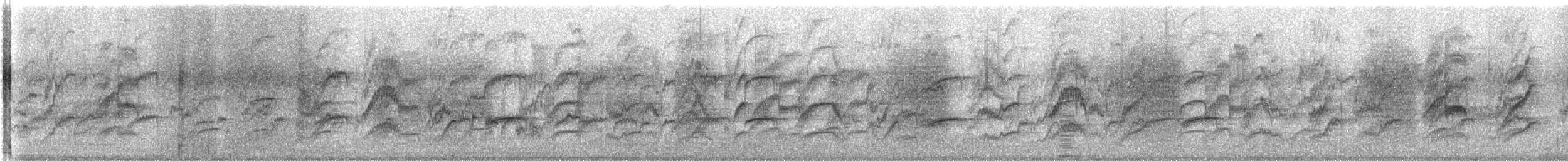 himalayaparakitt - ML647135221