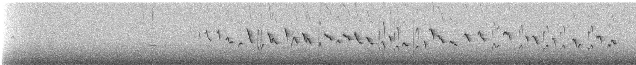 Moustached Flowerpiercer - ML647135259