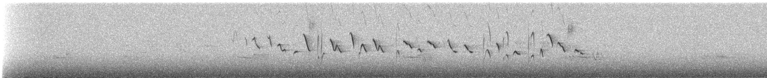 Moustached Flowerpiercer - ML647135262