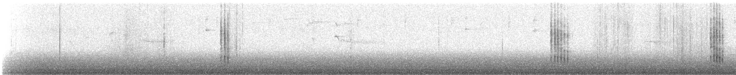 Pic de Rivoli (atriceps) - ML647135494