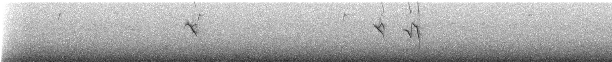 Tangara sayaca - ML647135503