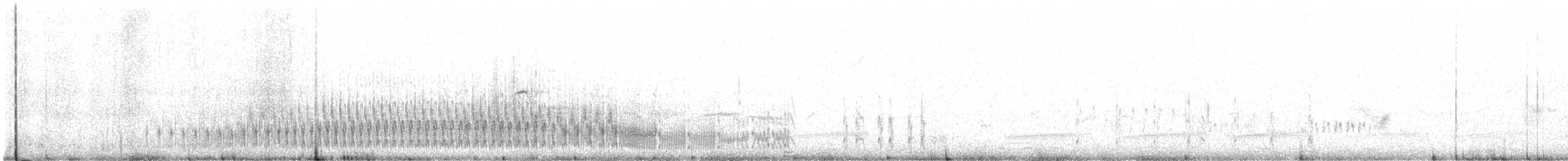 Bécasseau semipalmé - ML647135518