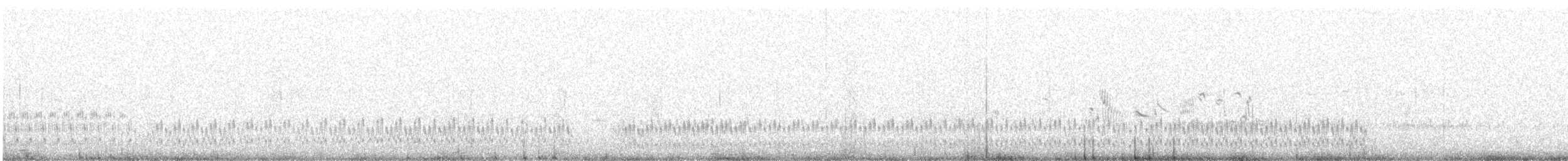 Bécasseau semipalmé - ML647135519