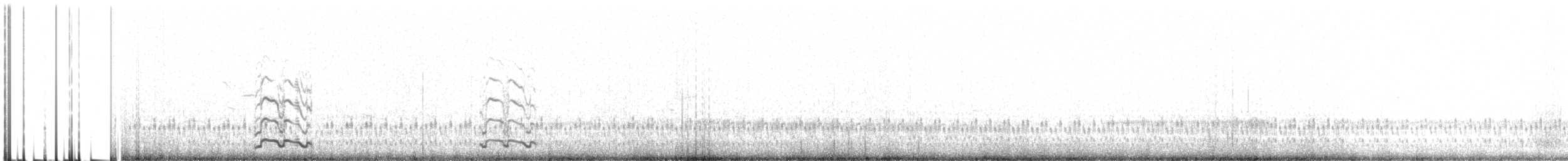 Bécasseau semipalmé - ML647135520