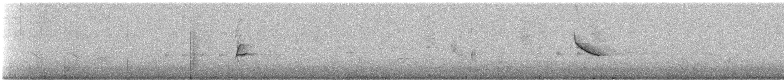 olivensisik - ML647135559