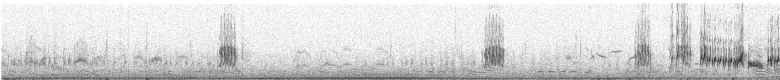 langnebbekkasinsnipe - ML647135573