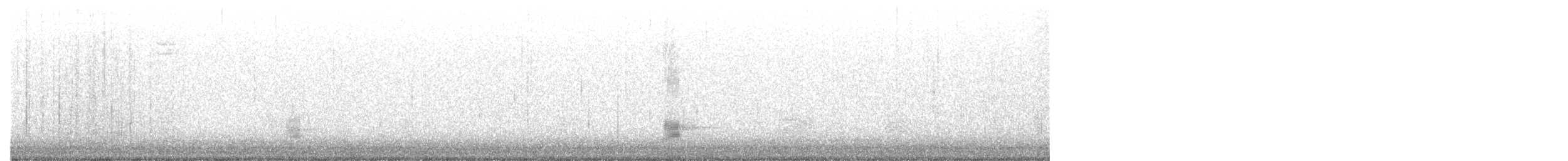 Gadwall - ML647135638