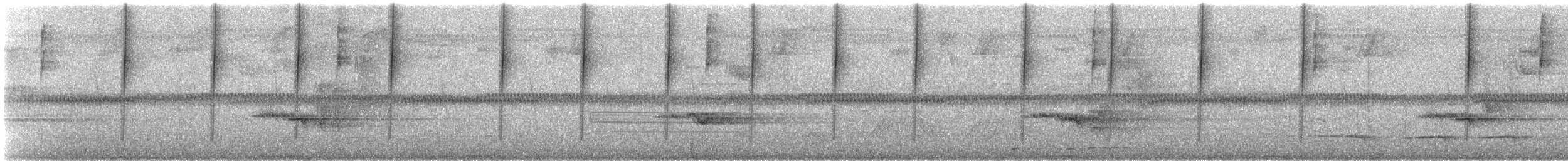 Calzadito Verdoso Sureño - ML647135933