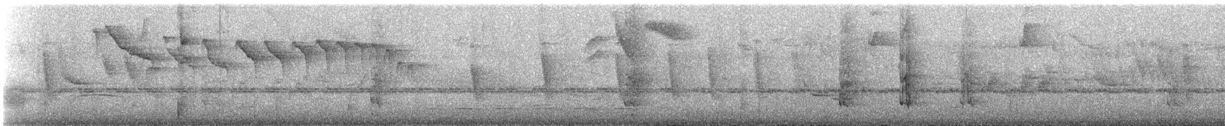 Black-winged Parrot - ML647136285