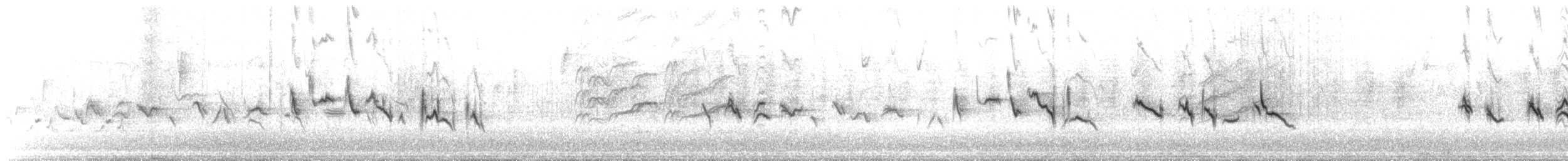 Camachuelo Mexicano - ML647136641