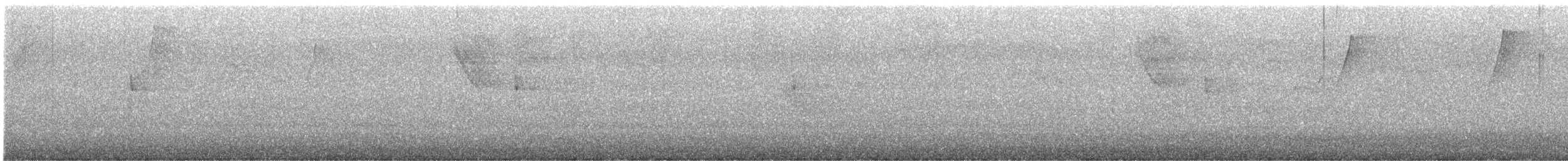 Northern Waterthrush - ML647136683