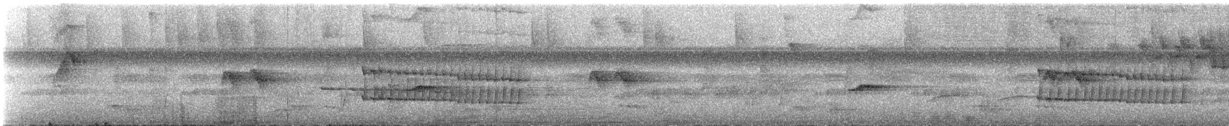 Western Fire-eye - ML647137173