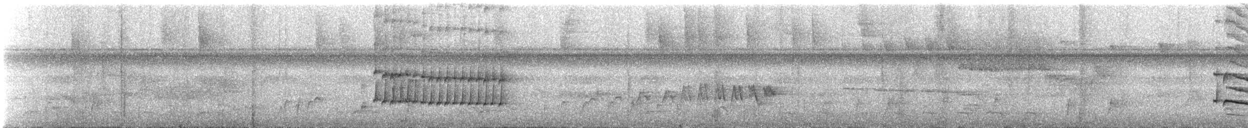 Western Fire-eye - ML647137175