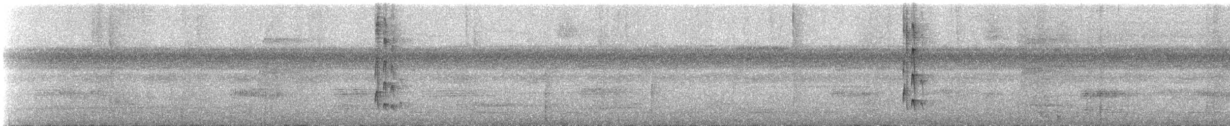 new world flycatcher sp. - ML647137224