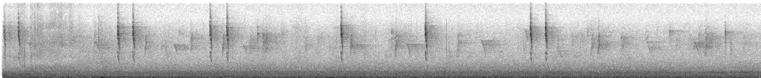 Pacific Wren - ML647137386