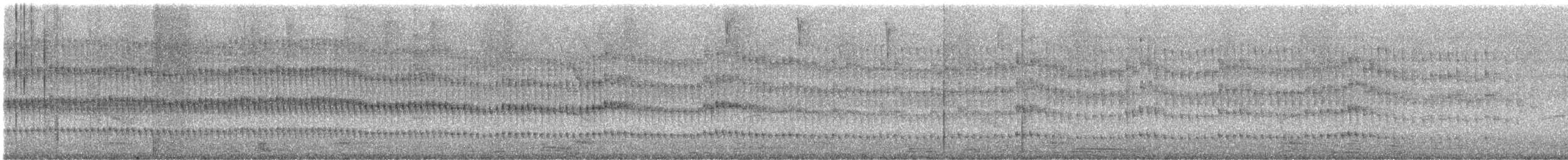 Olivaceous Woodcreeper - ML647137786