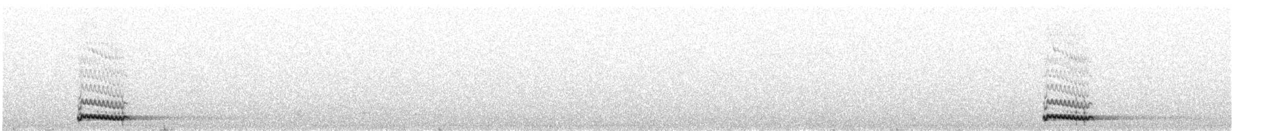 Arabian Scops-Owl - ML647137993