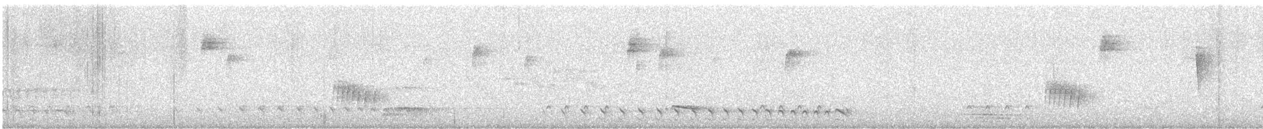 Batará Barrado - ML647138524