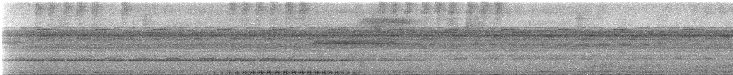 Band-bellied Owl - ML647138570