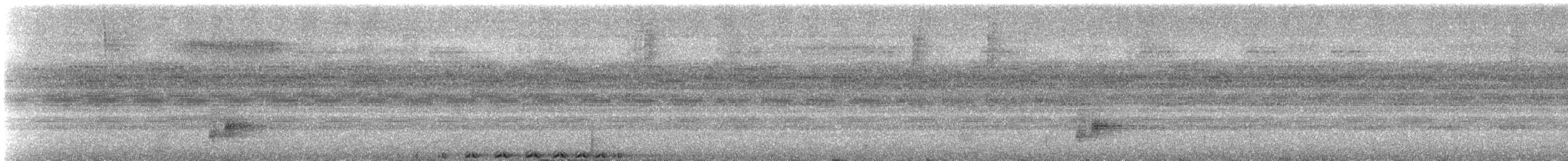 Band-bellied Owl - ML647138571