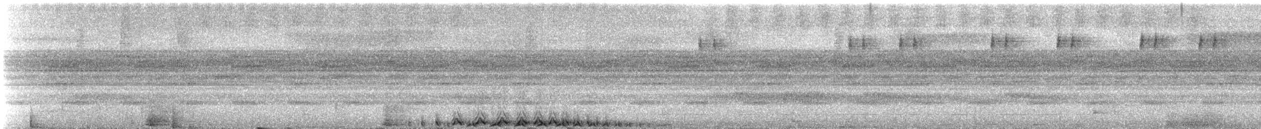 Band-bellied Owl - ML647138572