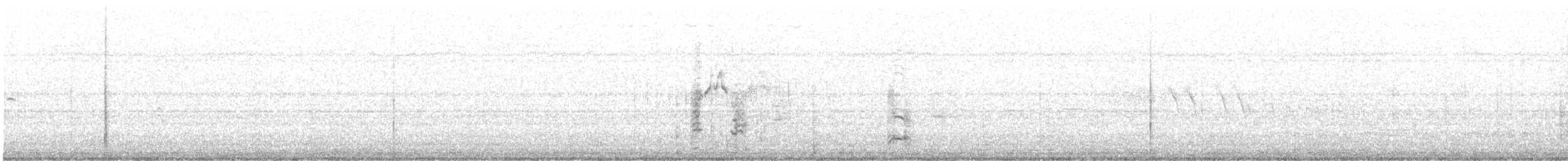 Short-billed Gull - ML647138687