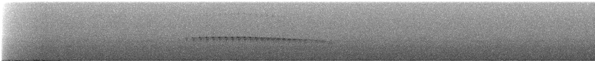 Brownish-headed Antbird - ML647138724