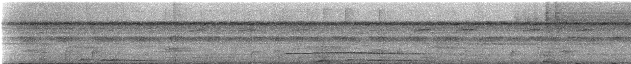 Rufous-vented Ground-Cuckoo (Western) - ML647139159