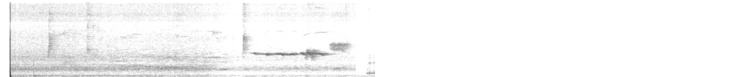 Chingolo Coroniblanco - ML647139193