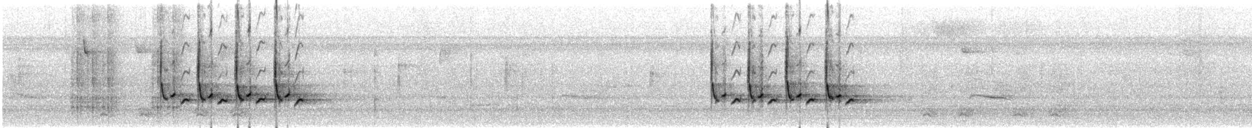 Carolina Wren - ML647141458