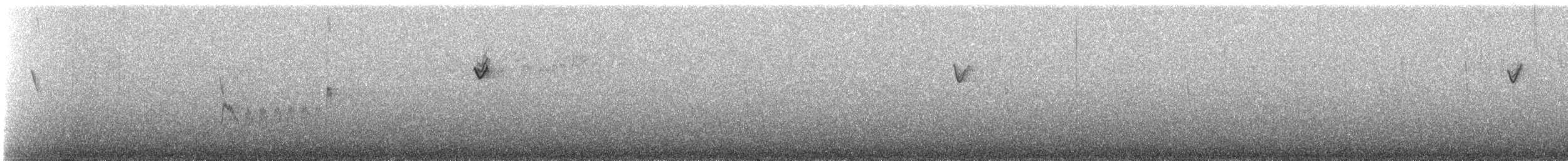 Большой конусоклюв - ML647142388