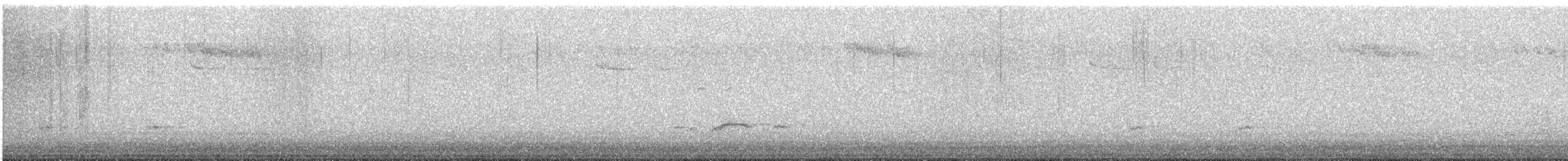 Alzavola - ML647142431