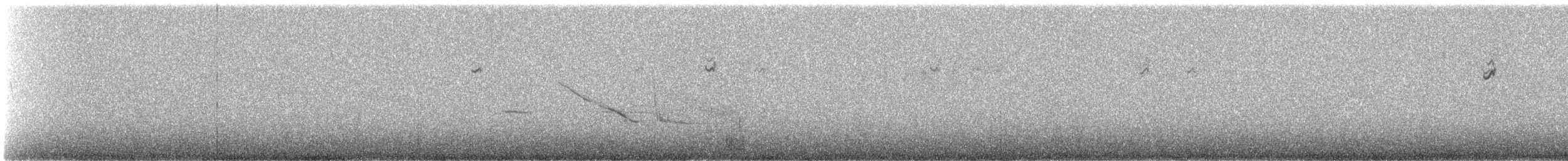 Короткохвостая диука - ML647142438