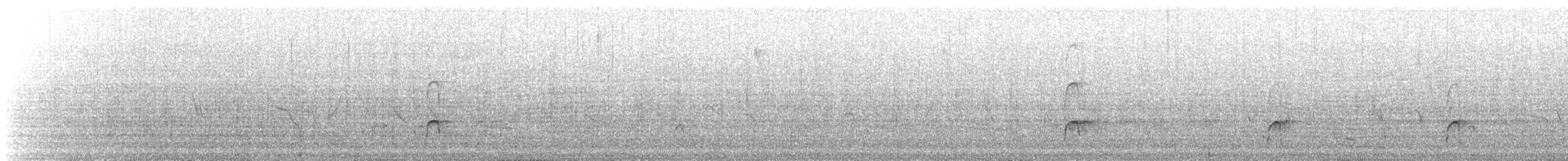 Black Oystercatcher - ML647142470