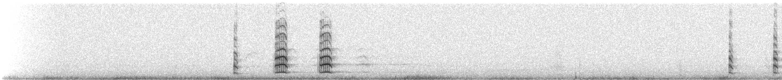 Андская чайка - ML647142499