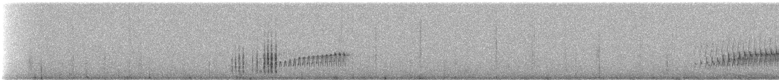 Длинноклювый норник (jelskii/saturata) - ML647142506