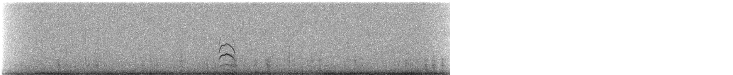 Тонкоклювый землекоп - ML647142511