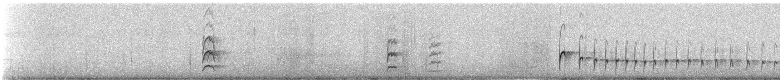 Тонкоклювый землекоп - ML647142512