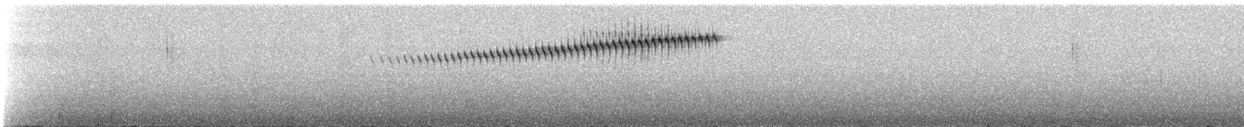 チャボウシアメリカムシクイ - ML647142574