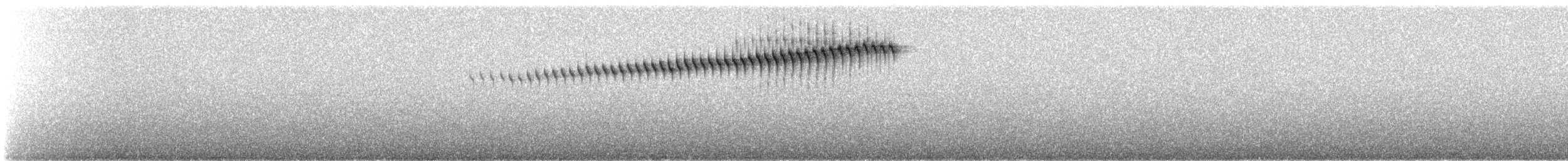 チャボウシアメリカムシクイ - ML647142575