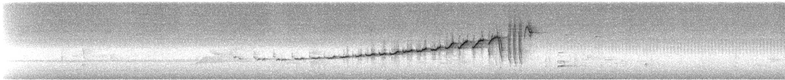 Yungas Warbler - ML647142719