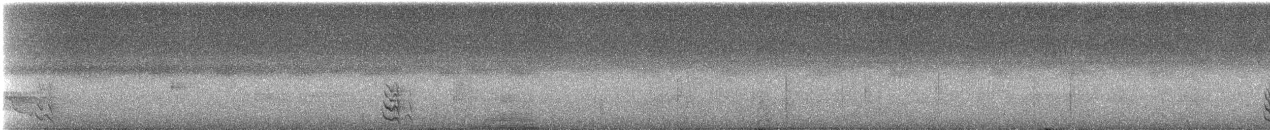 カンムリカザリキヌバネドリ - ML647142732