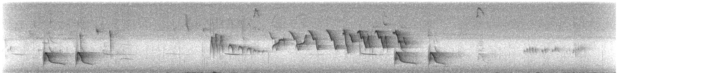 ミミグロヒゲハエトリ - ML647142738