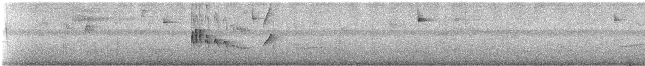 ミミグロヒゲハエトリ - ML647142739