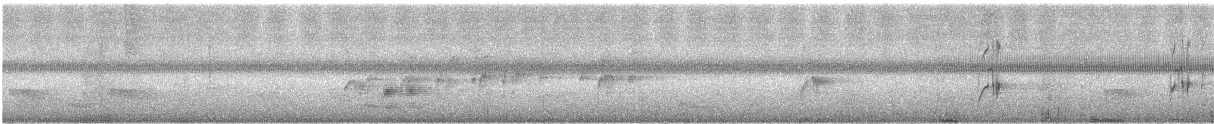 White-collared Swift - ML647143003