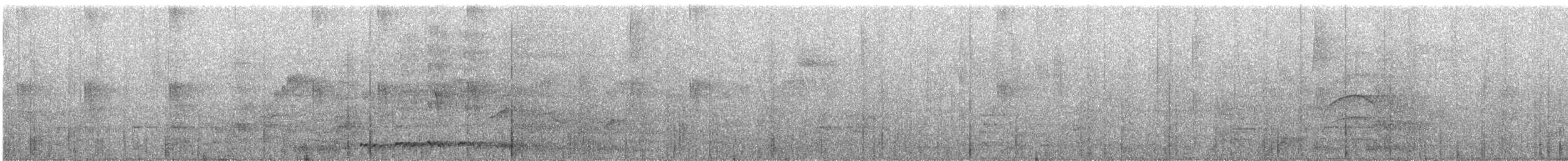 Greater Ani - ML647143287