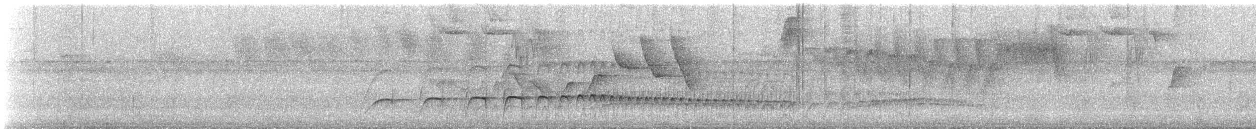 Rufous-tailed Jacamar - ML647144641