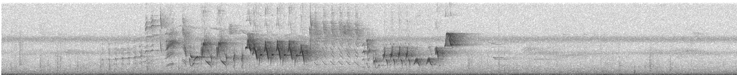 Southern House Wren - ML647144991