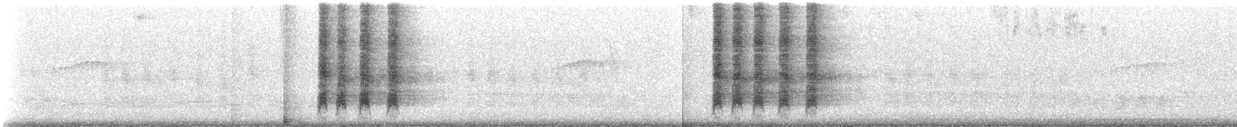 Zorzal Sabiá - ML647145189