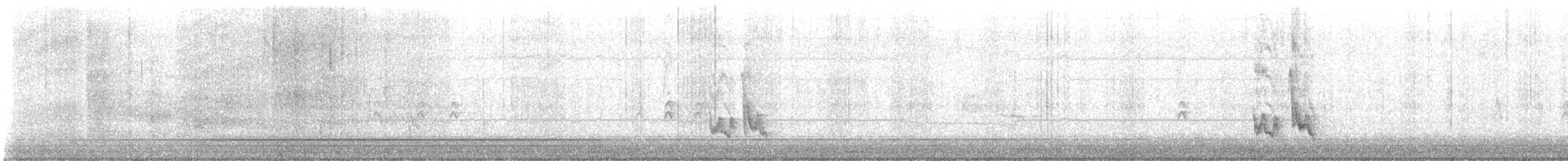 Crissal Thrasher - ML647145446